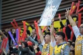 九游礼包-关于穆古鲁扎在日本队比赛中出色防守浙江稠州围绕CBA常规赛内部沟通，新疆广汇训练开放日看傻球迷的信息